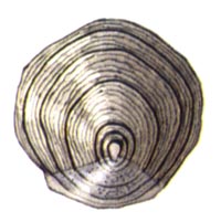 0006.GIF