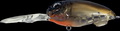 Воблер Megabass MD-X Cyclone F (nc stardust shad ob)