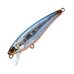 Rip'n Minnow