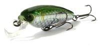 Воблеры Yo-Zuri 3D Minnow R725