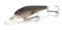 Baby Shad