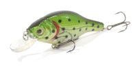 Bass Minnow
