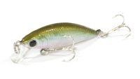 Bevy Minnow 40SP