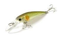 Bevy Shad 50SP