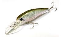 Bevy Shad 60F