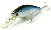 Bevy Shad TanGo 55SP