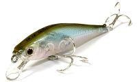 Blue Buster 80S