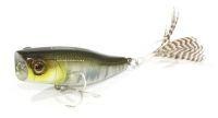 Chubby Popper 42