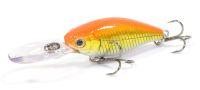 Deep Chip 40SP