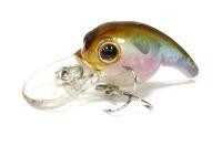 Tadpole 30 (EG-087F)