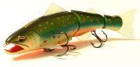 Salmonid Minnow (EG-154)