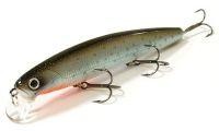 Flash Minnow 110SP