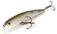 Flash Minnow 95MR