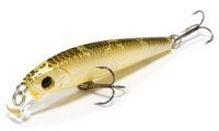 Flash Minnow TR 55