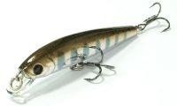 Flash Minnow TR 65