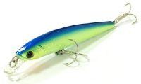 Flash Minnow TR 95SP