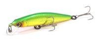 Flat Fly 50SP