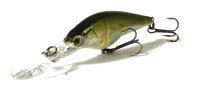 Hardcore Shad