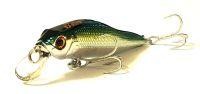Jerkbait NJ