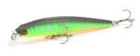 LB Minnow