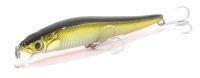 Long Minnow