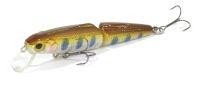 Magnum Loach