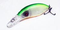 Mini Minnow