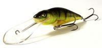 Perch SDR 12