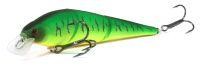 Pointer 125