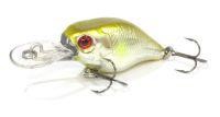 Roost DR 40F