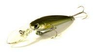 SC Shad 5SP