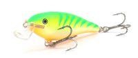 Shallow Shad Rap 09
