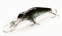 Spin-Move Shad