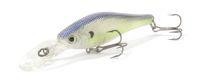 Spite Minnow