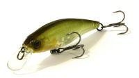 Squad Minnow 95