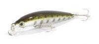 Sugar Minnow 40S