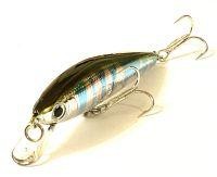 TD Minnow 1061
