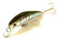 TD Minnow Laser