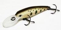 Top Shad 50F
