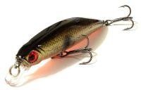 Valor Minnow
