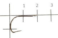 Shot Rig Worm 10