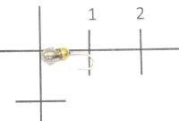 Капля муравей