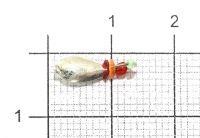 Клоп с ушком d4