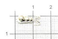 Коза-муравей d4