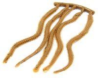 МЯГКИЕ ПРИМАНКИ Marukyu Isome