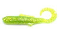 Minnow-Curl Tail