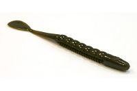 Sugar Cane Worm