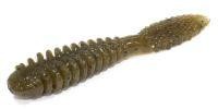 Wild Goby