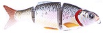 Воблер Izumi Shad Alive 4 section white fish 50 (SLOW SINKING) №2