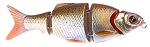 Воблер Izumi Shad Alive 4 section white fish 50 (SLOW SINKING) №3
